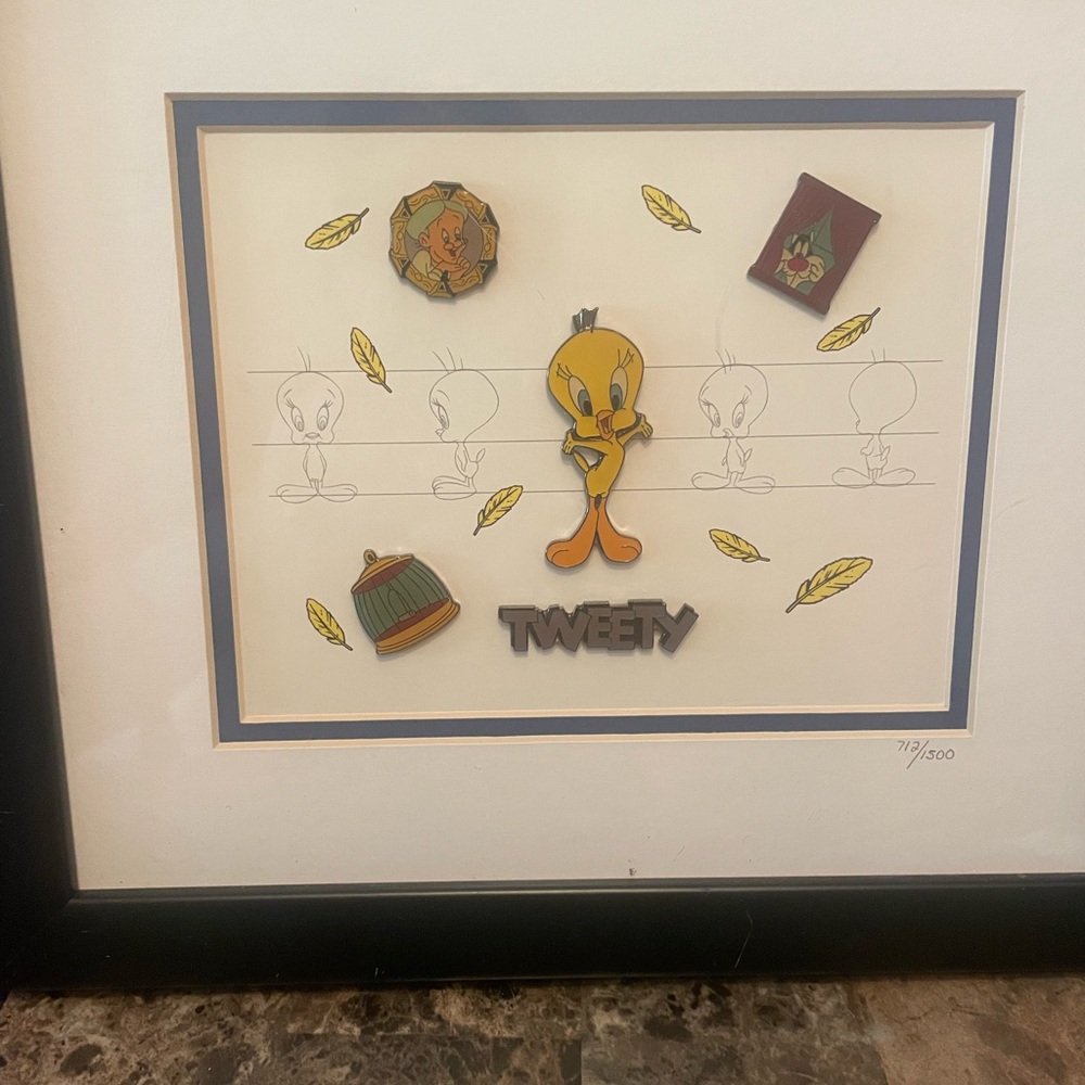 Tweety Bird Framed Art with Pins